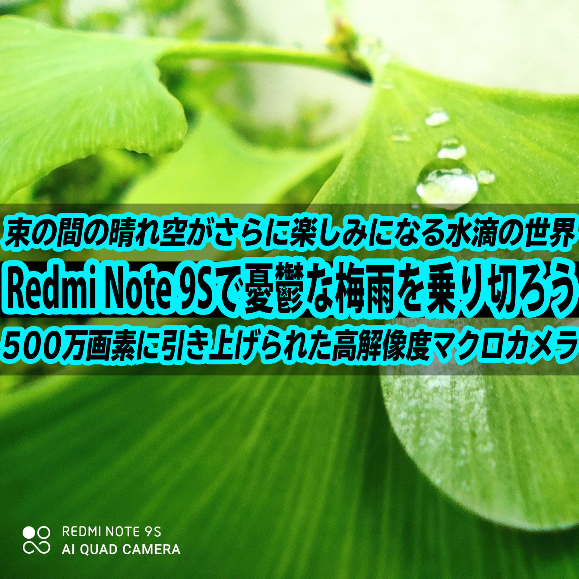 Xiaomi Redmi Note 9Sで憂鬱な梅雨を乗り切ろう！束の間の晴天に、高解像度マクロで撮るキラキラな世界！