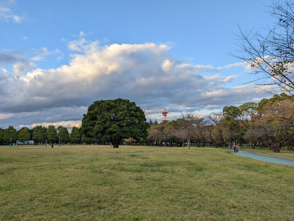 Pixel 6で公園を撮影