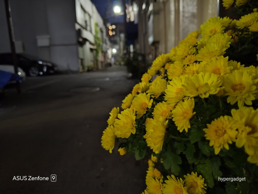 黄色い花の夜景